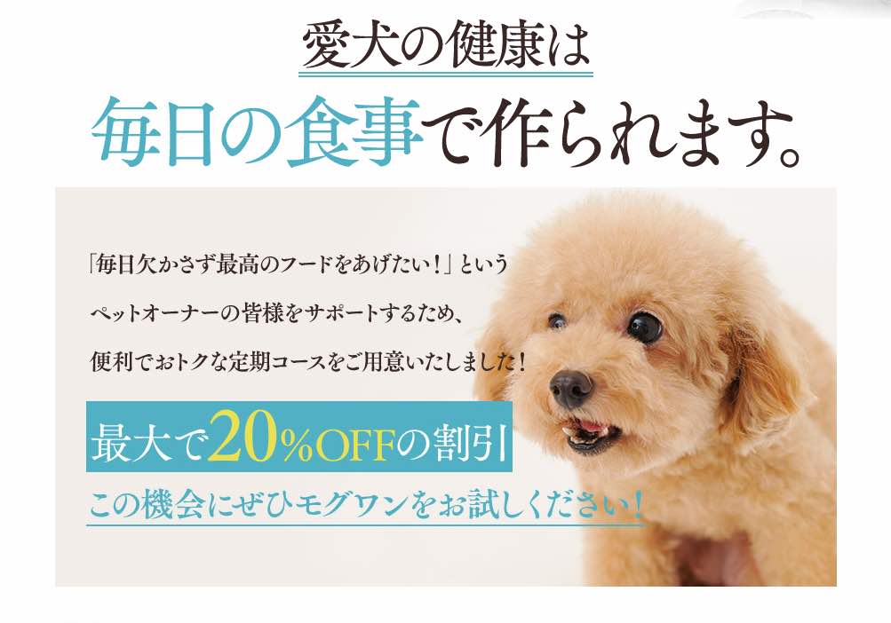 モグワンのキャンペーン情報